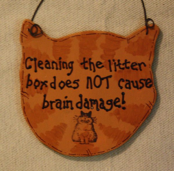 Cleaning the litter box does NOT cause brain damage!
